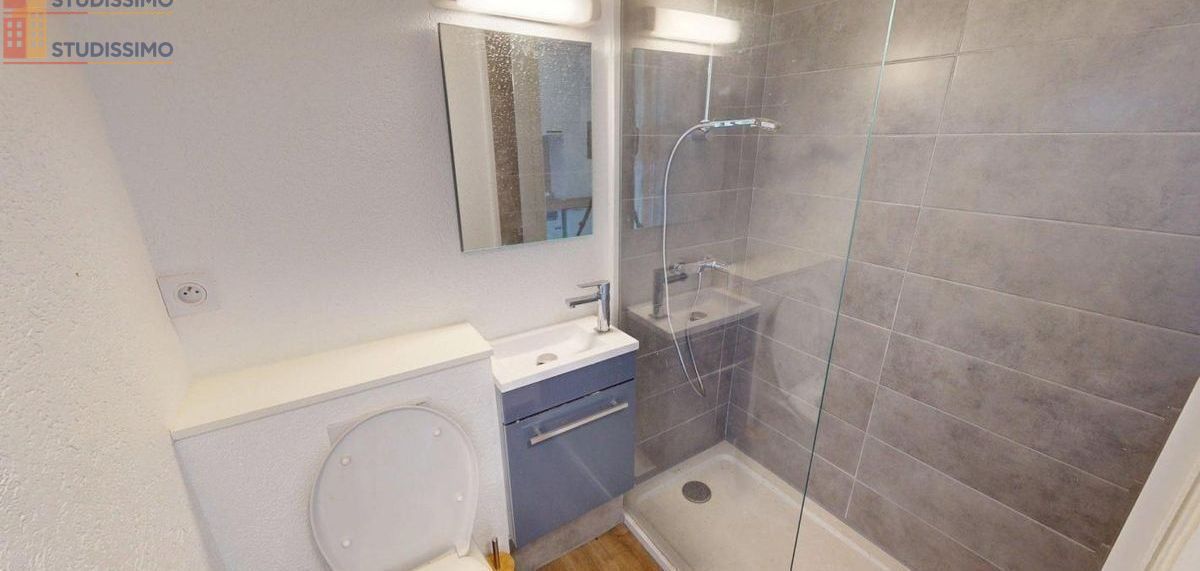 Studio meublé 16m² Gaillard 74240 - Meublé, DPE D - Photo 10