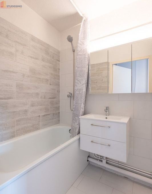 Studio 19m² Saint-Jeoire - Rénové, meublé - Photo 6