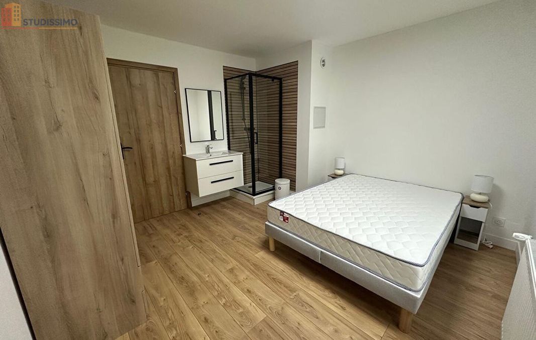 Studio 65m² Annemasse - Spacious, lumineux - Photo 3