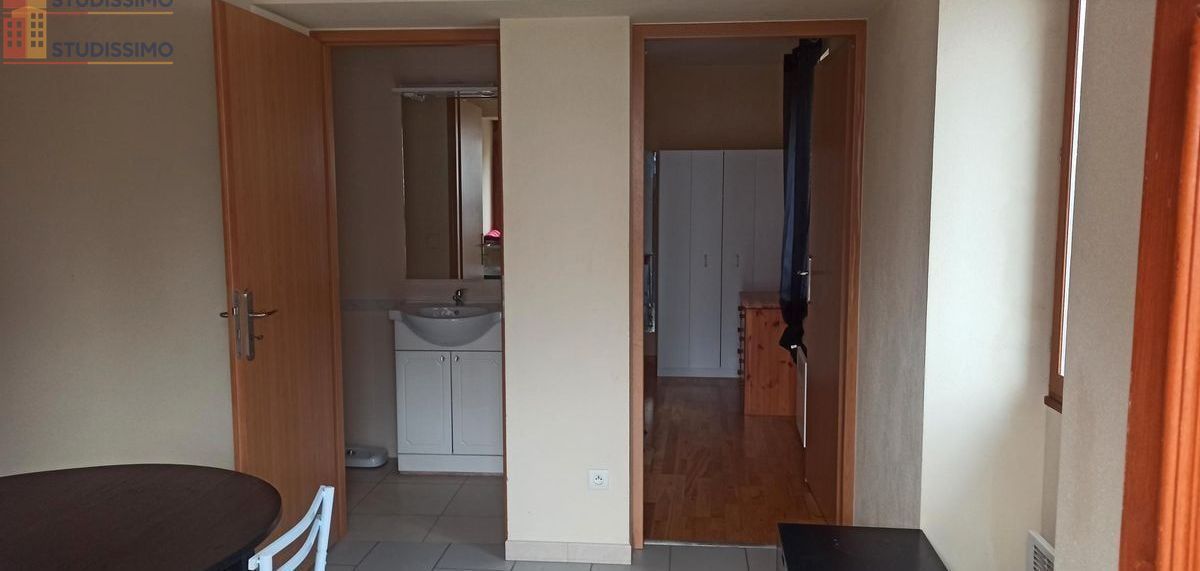 Studio 31m² Saint-Julien-en-Genevois - Meublé, proche douane Soral - Photo 5