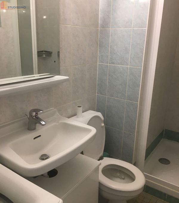 Studio meublé 29m² Thonon-les-Bains - Meublé, 1 chambre - Photo 5