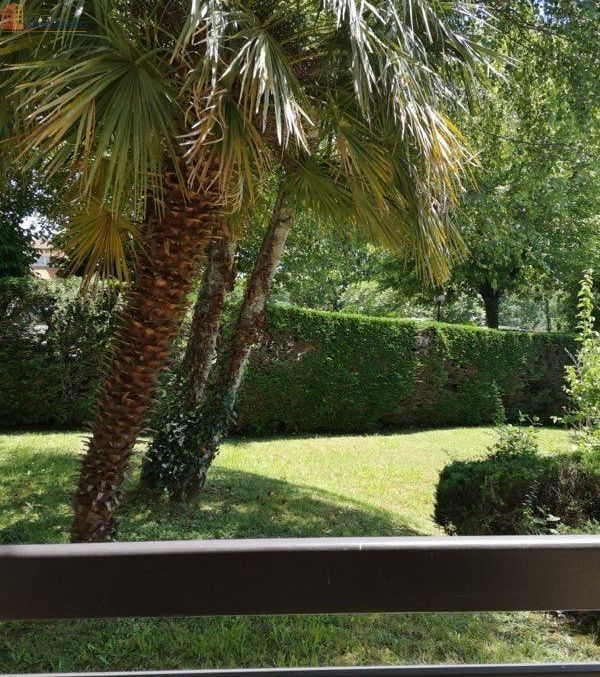 Studio à Cazaubon