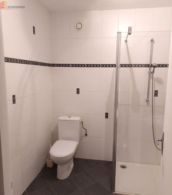 Studio meublé 41m² Saint-Julien-en-Genevois - Grand, lumineux - Photo 3