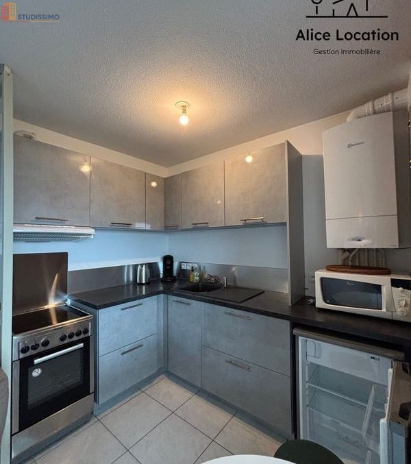 Studio meublé 29m² Évian-les-Bains - Meublé, DPE C - Photo 8