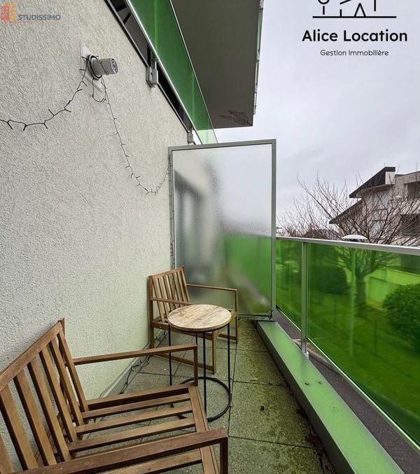 Studio meublé 29m² Évian-les-Bains - Meublé, DPE C - Photo 2