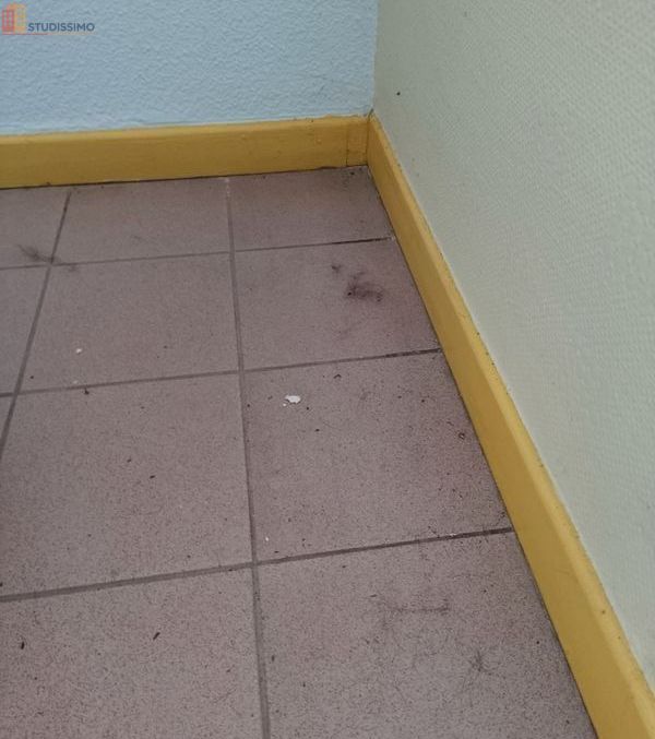 Studio 24m² Cazaubon - Balcon, parking - Photo 2