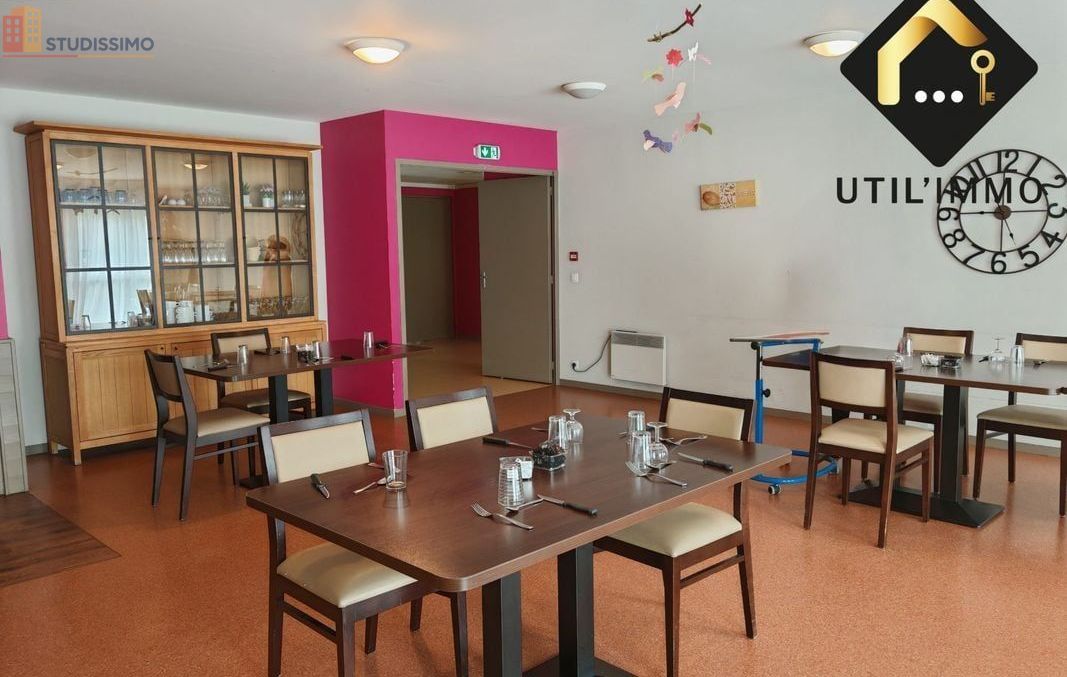 Studio 31m² Villedieu-sur-Indre - Aucun caractère mentionné - Photo 3
