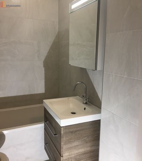 Studio meublé 22m² Gaillard - Proche frontière, lumineux - Photo 4