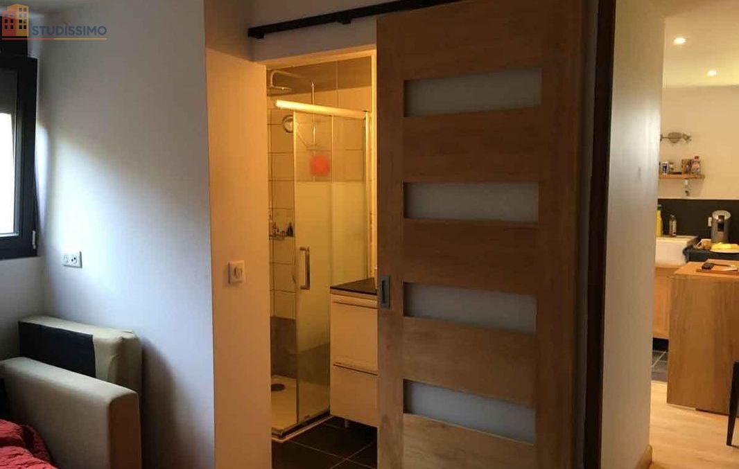 Studio meublé 28m² Maxilly-sur-Léman - Grand, lumineux - Photo 4