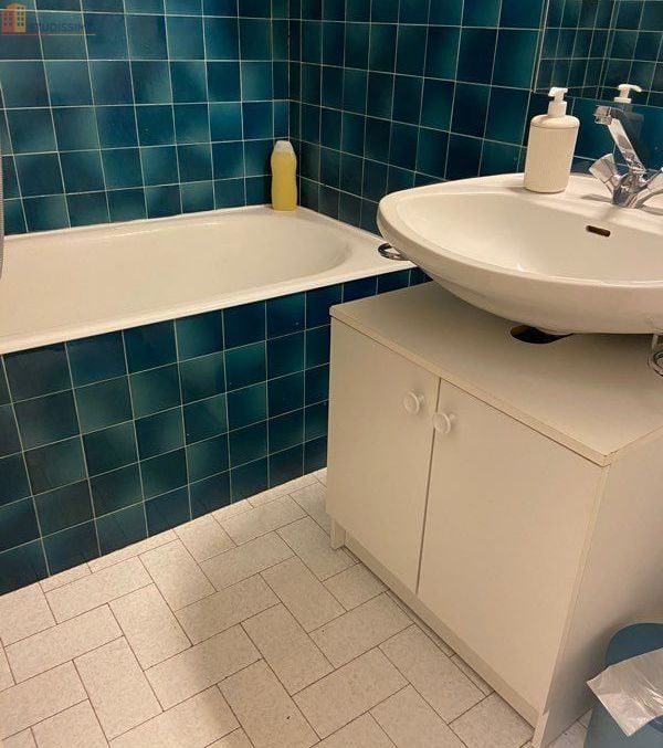 Studio meublé 17m² Saint-Jean-d'Aulps - Meublé, vue montagne - Photo 1