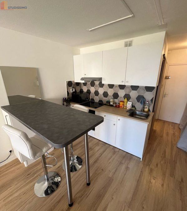 Studio meublé 27m² Gaillard 74240 - Charmant, lumineux - Photo 4
