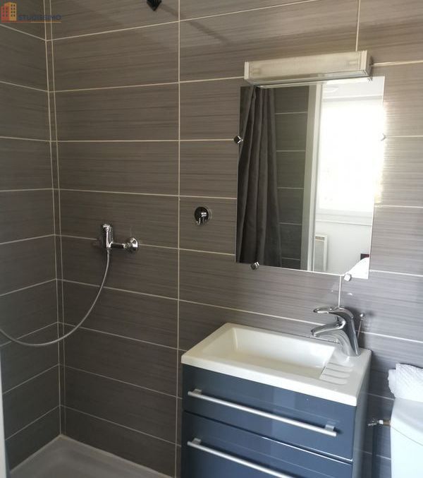 Studio meublé 12m² La Roche-sur-Foron - Proche gare, meublé - Photo 1
