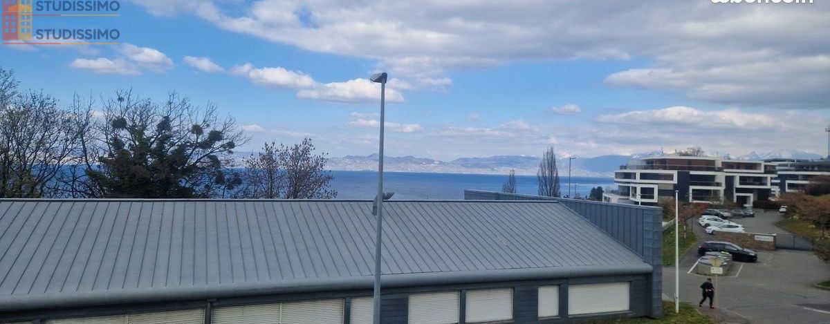 Studio 34m² Évian-les-Bains - - Photo 1