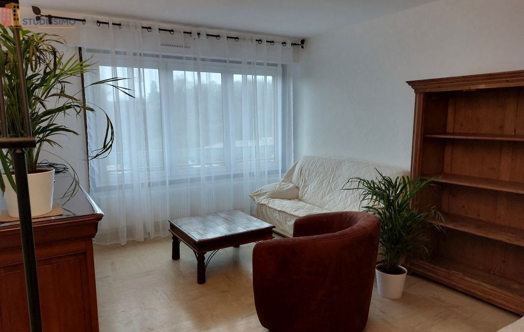Studio meublé 41m² Saint-Julien-en-Genevois - Grand, étage élevé - Photo 5