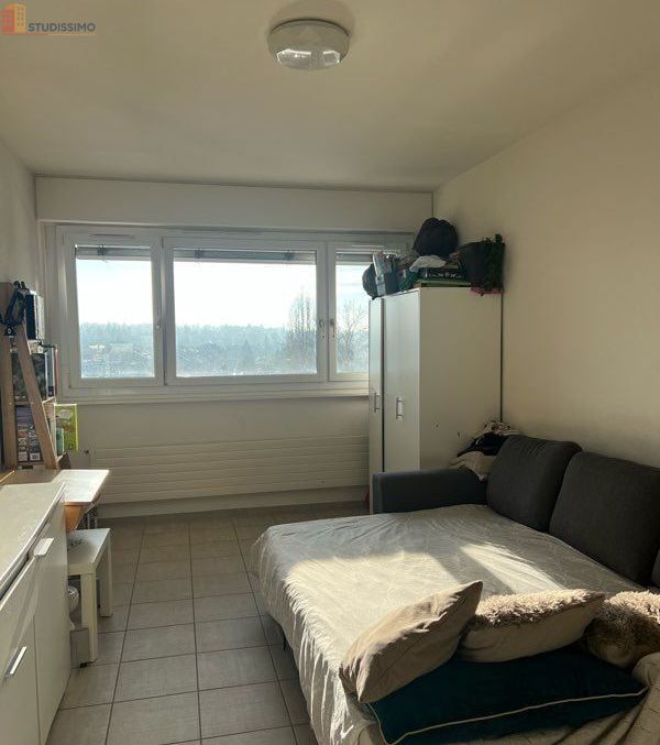 Studio 20m² Saint-Julien-en-Genevois - Meublé, centre ville - Photo 3