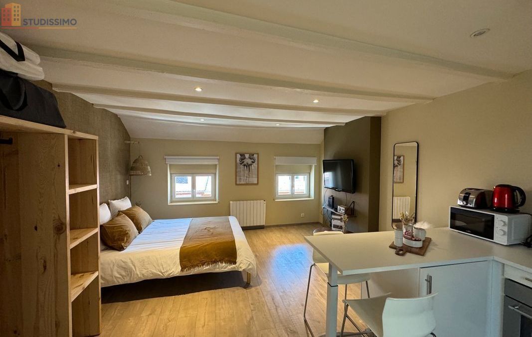 Studio 27m² Annecy centre - Meublé, proche rues commerçantes - Photo 4