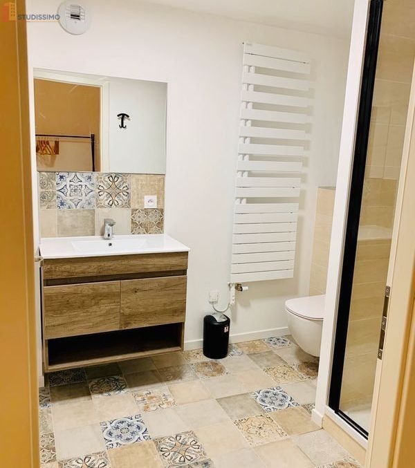Studio 40m² Onnion 74490 - Meublé, cadre verdoyant - Photo 1