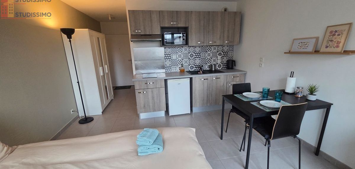 Studio meublé 24m² Saint-Julien-en-Genevois - Calme, récent - Photo 1