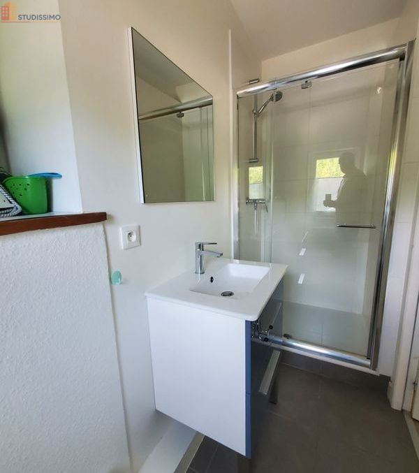 Studio meublé 26m² Écully - Cadre verdoyant, calme - Photo 1