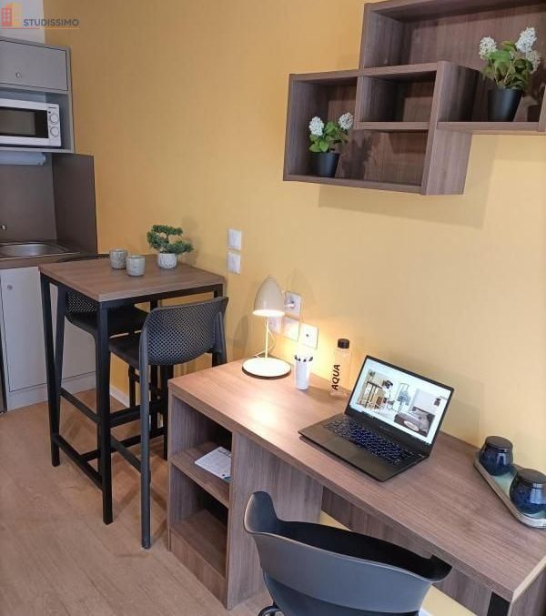 Studio 20m² Saint-Priest - DPE C - Photo 5