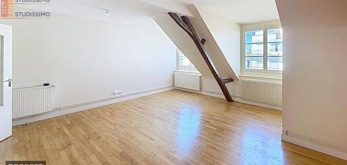 Studio 45m² Tours 37100 - Lumineux, DPE D - Photo 5