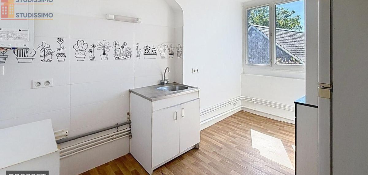 Studio 45m² Tours 37100 - Lumineux, DPE D - Photo 3
