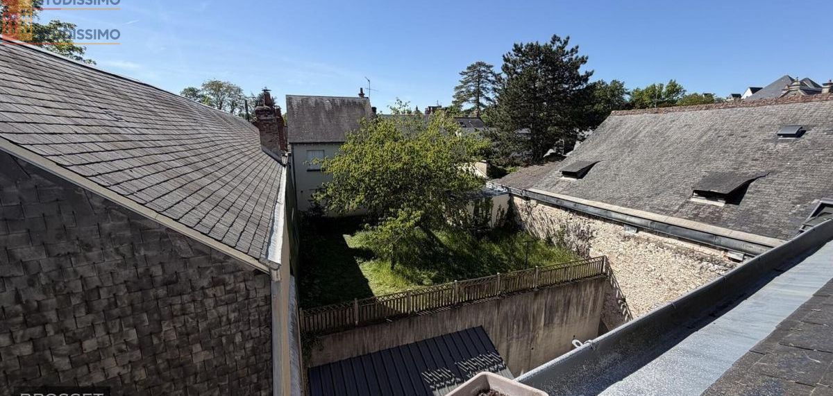 Studio 45m² Tours 37100 - Lumineux, DPE D - Photo 1