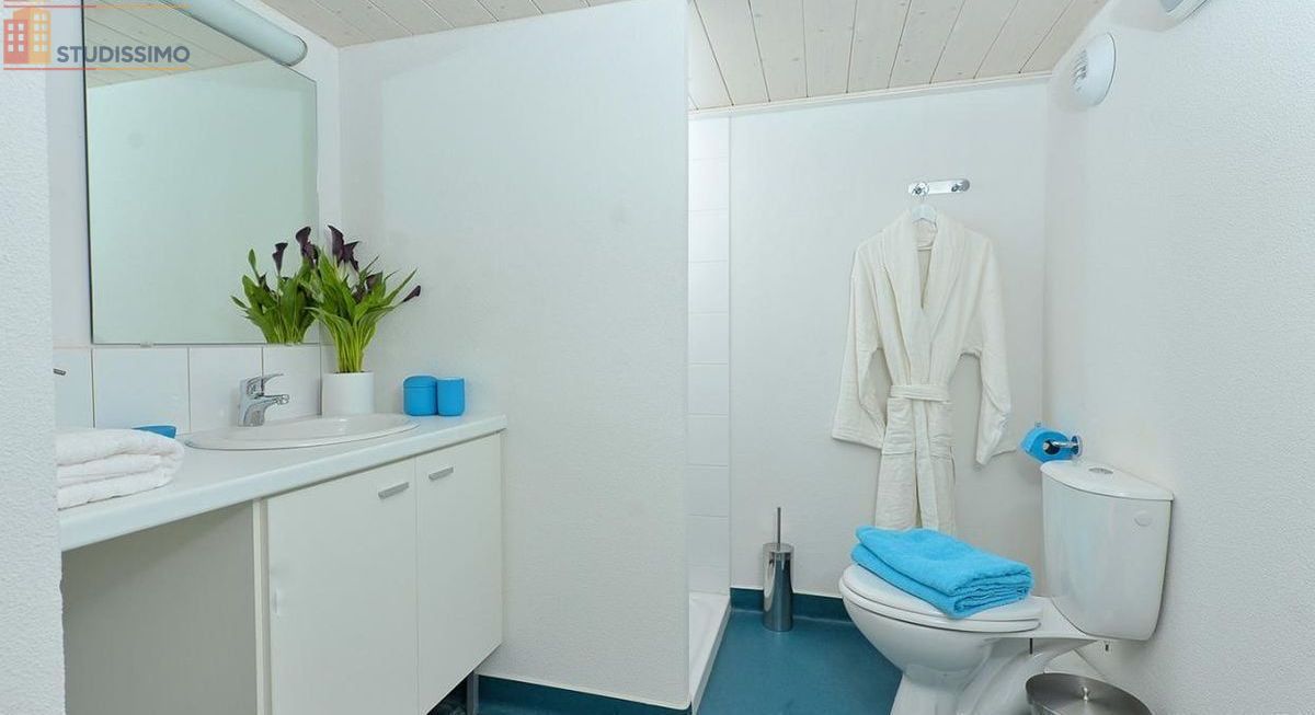 Studio meublé 20m² Lyon 7e - Meublé, DPE D - Photo 4