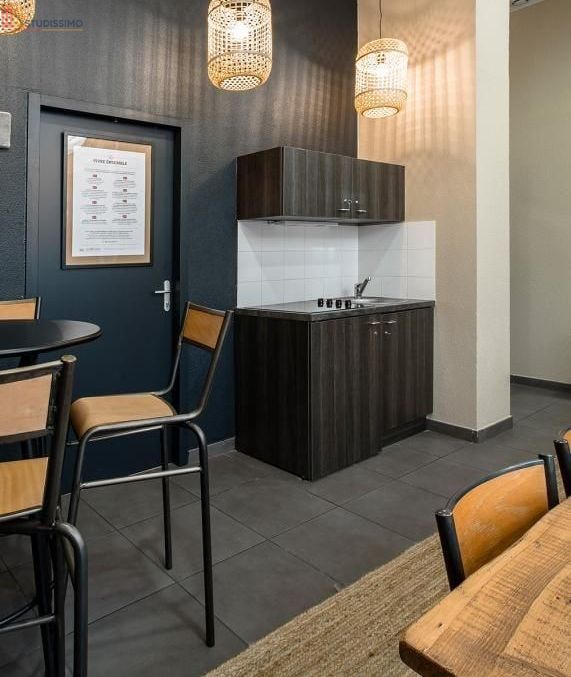 Studio meublé 20m² Lyon 7e - Meublé, DPE D - Photo 2