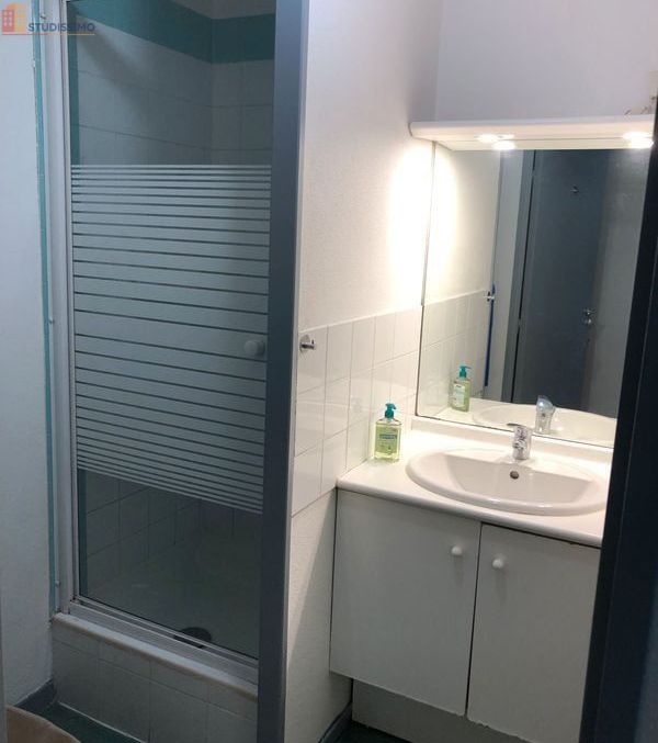 Studio meublé 19m² Lyon 3e - Meublé, DPE D - Photo 1