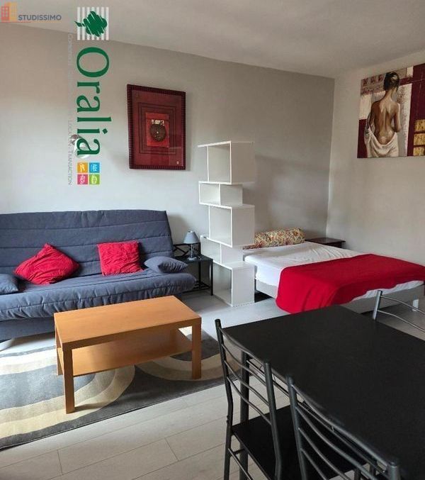 Studio meublé 32m² Lyon 7e - Étage élevé, DPE D - Photo 5