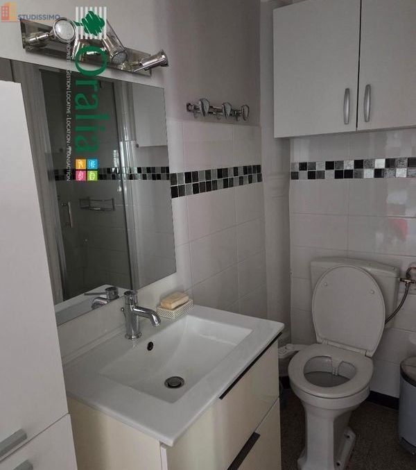 Studio meublé 32m² Lyon 7e - Étage élevé, DPE D - Photo 1