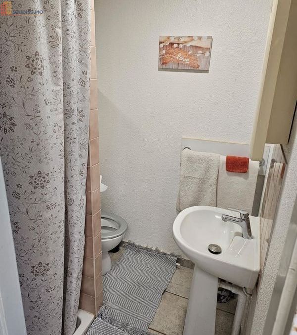 Studio 26m² Saint-Symphorien-d'Ozon - Meublé, centre-ville - Photo 1