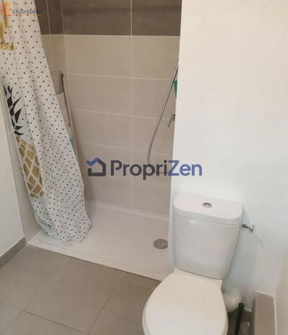 Studio 21m² Villefranche-sur-Saône - Meublé, DPE C - Photo 1