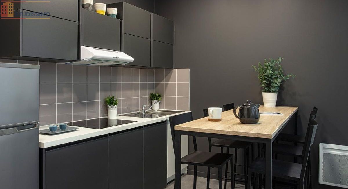 Studio meublé 19m² Écully - Meublé, bon DPE C - Photo 1