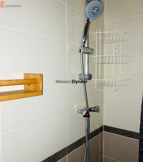 Studio meublé 15m² Paris 15e - Lumineux, 6e étage - Photo 4