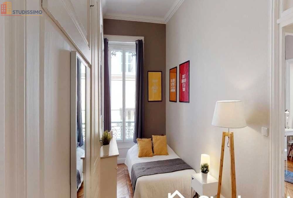 Studio meublé 14m² Lyon 2e - Calme, lumineux - Photo 4