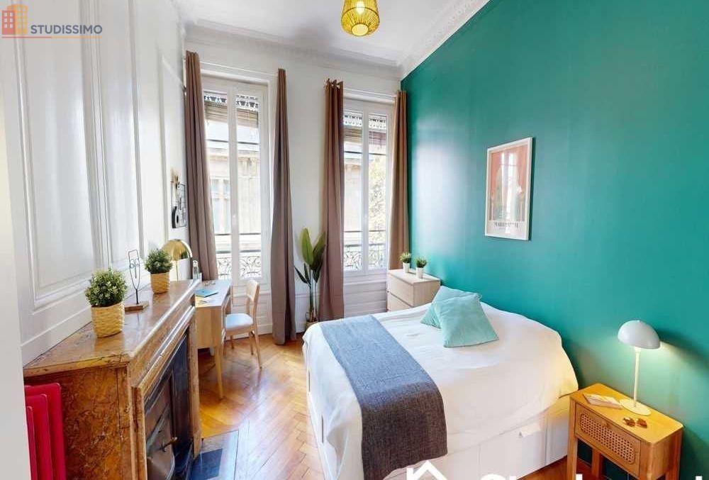 Studio meublé 18m² Lyon 7e - Meublé, 4e étage - Photo 3