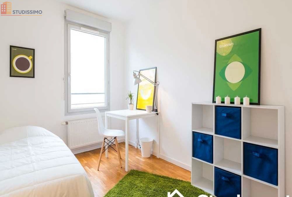Studio meublé 9m² Lyon 7e - Meublé, DPE C - Photo 4