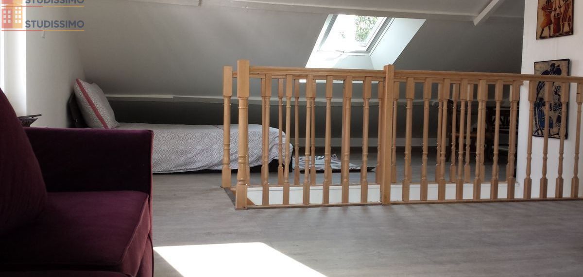 Studio meublé 25m² Lyon 8e - Balcon, jardin - Photo 2