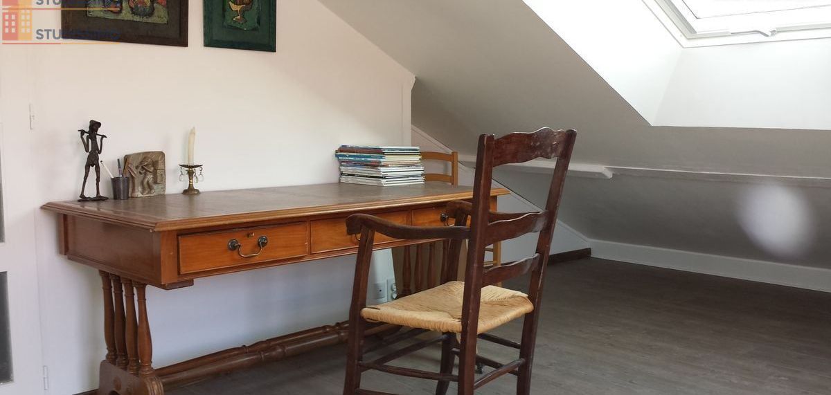 Studio meublé 25m² Lyon 8e - Balcon, jardin - Photo 1
