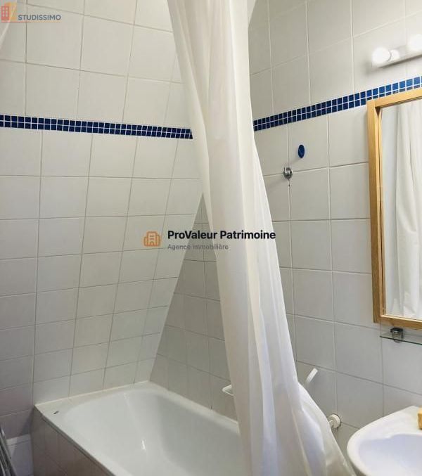 Studio meublé 28m² Paris 11e - Dernier étage, lumineux - Photo 9