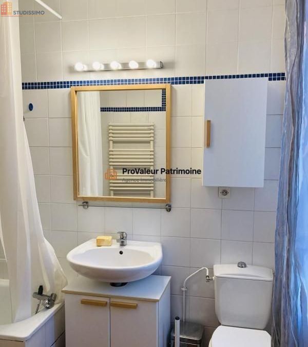 Studio meublé 28m² Paris 11e - Dernier étage, lumineux - Photo 3