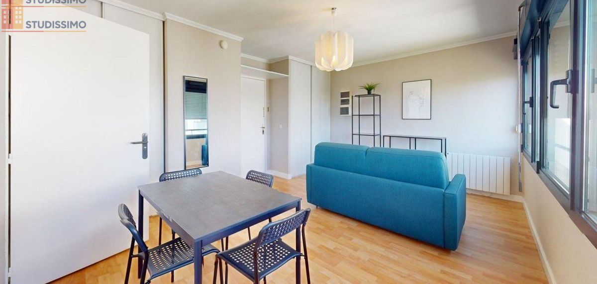 Studio meublé 26m² Lyon 8e - Lumineux, étage élevé - Photo 9