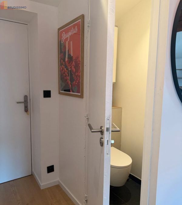 Studio 40m² Villefranche-sur-Saône - Meublé, centre-ville - Photo 1