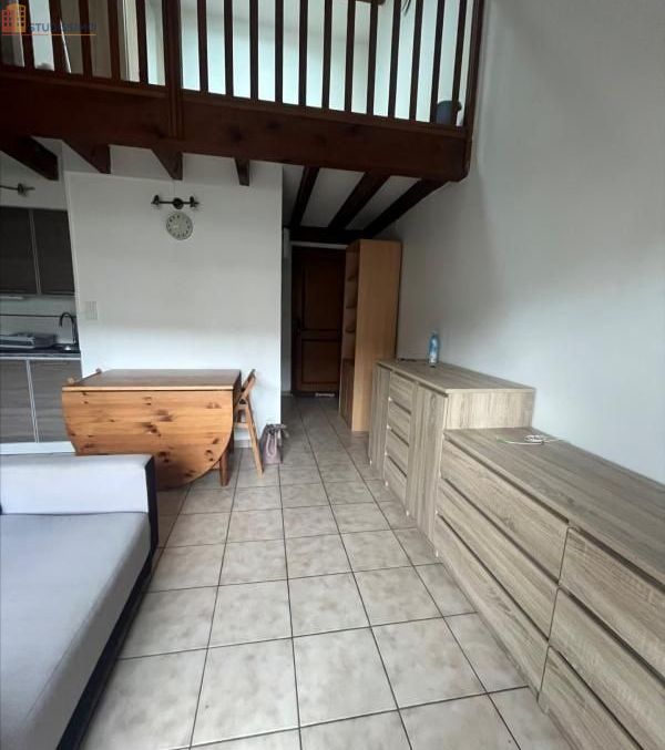 Studio meublé 34m² Craponne - Lumineux, 1er étage - Photo 3