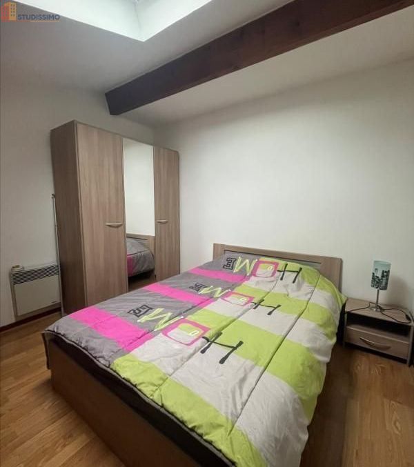 Studio meublé 34m² Craponne - Lumineux, 1er étage - Photo 1