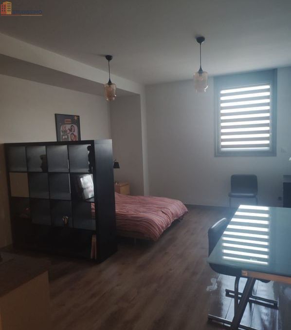 Studio 28m² Lyon 7e - DPE B, lumineux - Photo 1