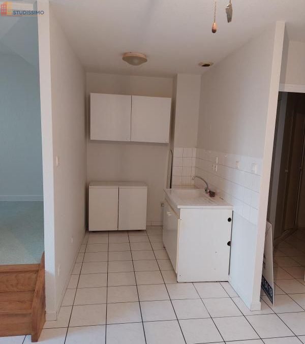 Studio 31m² Saint-Symphorien-sur-Coise - 1 pièce - Photo 7