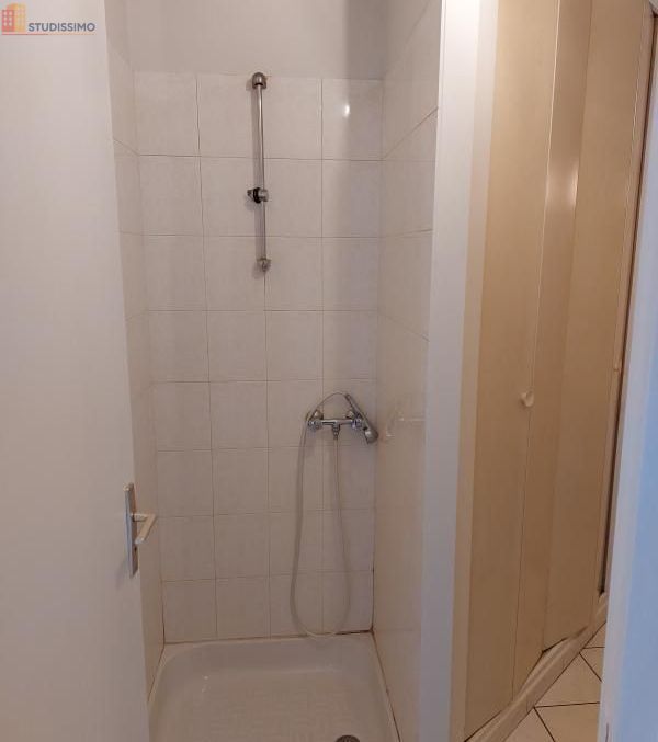 Studio 31m² Saint-Symphorien-sur-Coise - 1 pièce - Photo 4